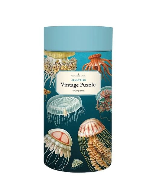 Puzzle Jellyfish Cavallini 1000 pièces