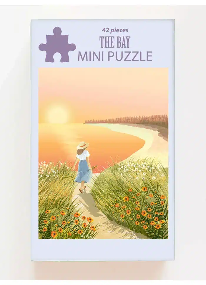 mini puzzle the bay vissevasse de 42 pieces
