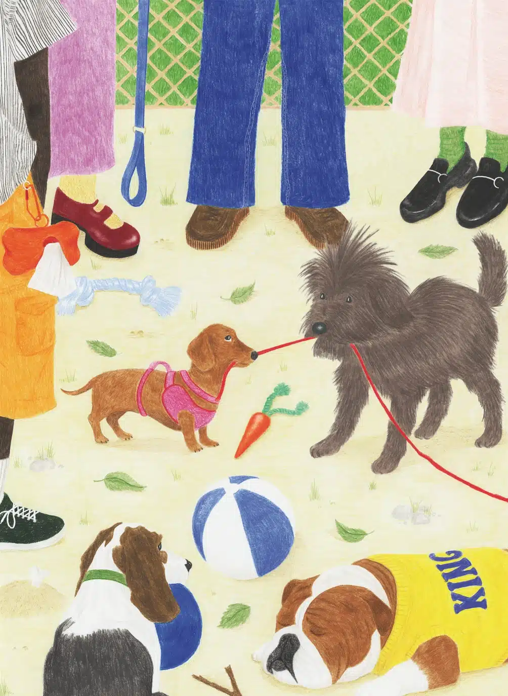 illustration du puzzle sortir le chien de jour férié de 1000 pièces