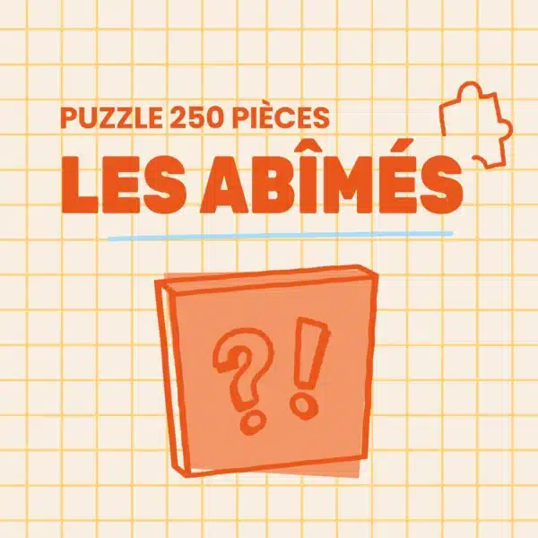 puzzle abimé trevell 250 pièces